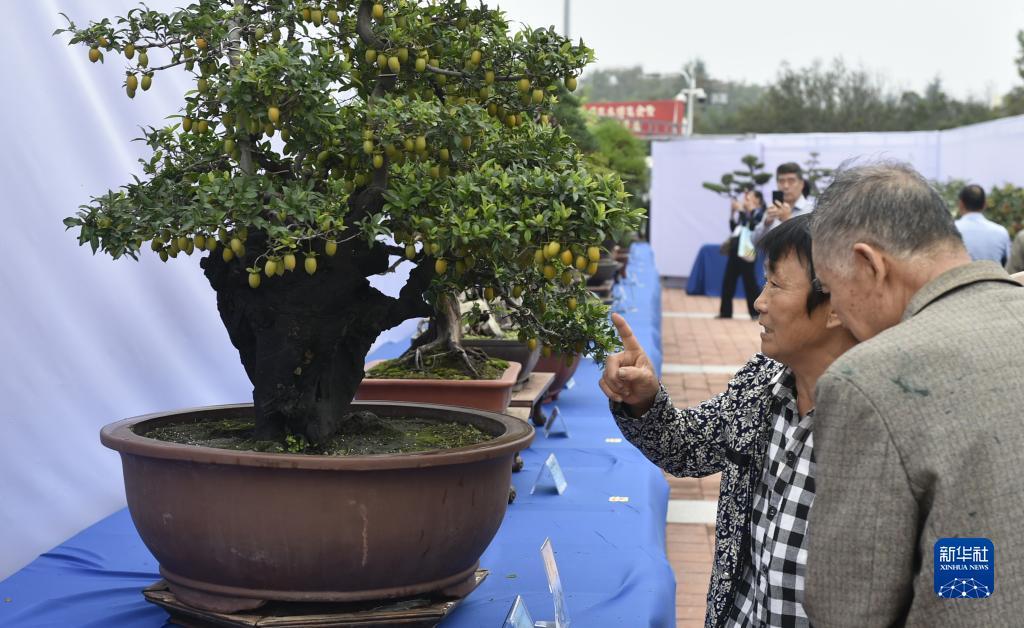 老虎机娱乐送彩金